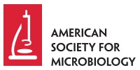 American Society For Microbiology